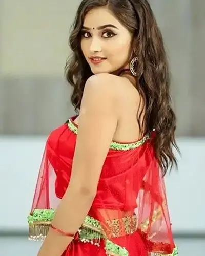Escort In Gopalapuram